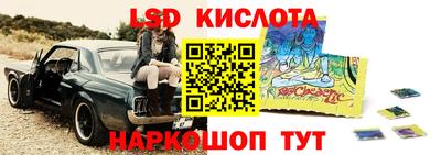 молекула духа Камышлов