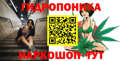 молекула духа Камышлов